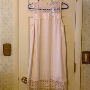 LOFT Sleeveless Dress